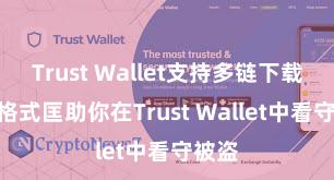 Trust Wallet支持多链下载 5个格式匡助你在Trust Wallet中看守被盗