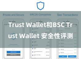 Trust Wallet和BSC Trust Wallet 安全性评测